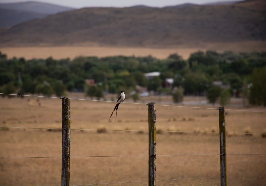 argentina countryside landscape