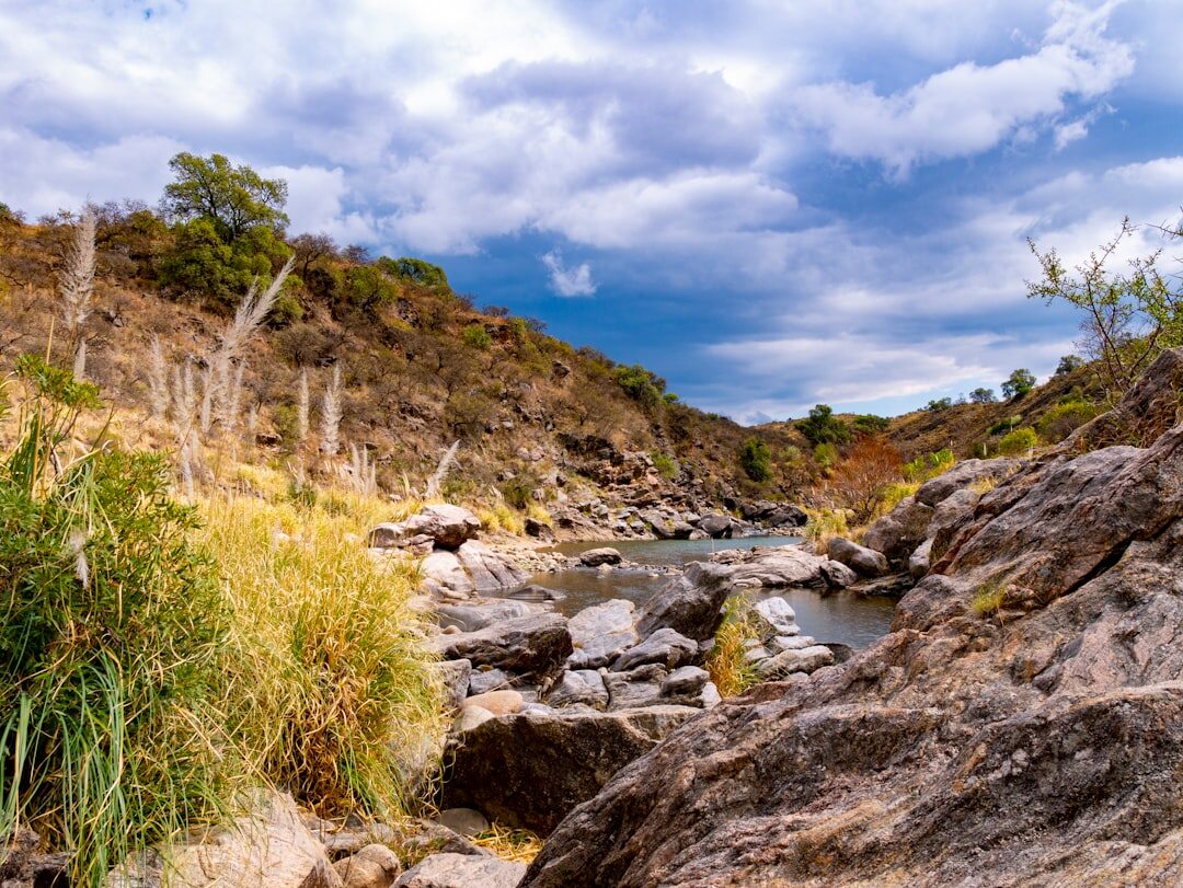 pampas landscape argentina