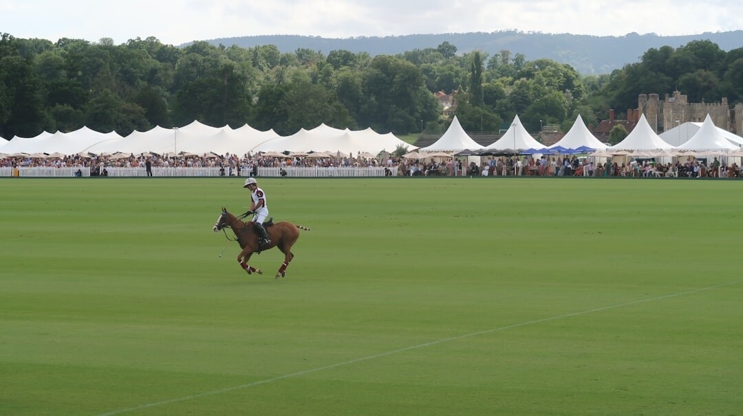 argentine polo players